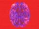 Fireboy DML – Dopamine